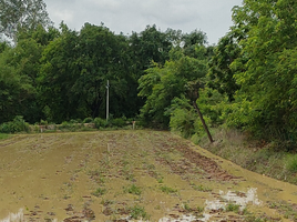 在孔敬出售的 土地, Sila, Mueang Khon Kaen, 孔敬