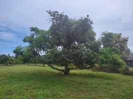  Grundstück zu verkaufen in Sam Roi Yot, Prachuap Khiri Khan, Sam Roi Yot, Sam Roi Yot