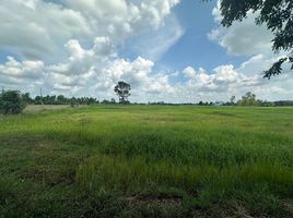  Land for sale in Nong Tat, Mueang Buri Ram, Nong Tat