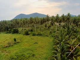  Grundstück zu verkaufen in Bang Saphan, Prachuap Khiri Khan, Thong Chai