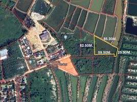  Land for sale in Choeng Thale, Thalang, Choeng Thale