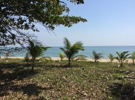  Land for sale in Na Hu Kwang, Thap Sakae, Na Hu Kwang