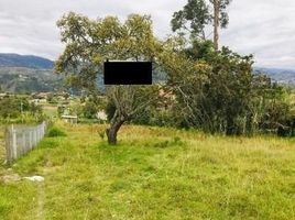  Land for sale in Azuay, Gualaceo, Gualaceo, Azuay