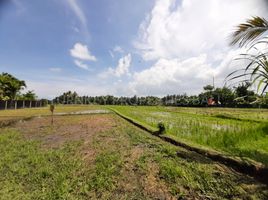  Grundstück zu verkaufen in Tabanan, Bali, Kediri, Tabanan, Bali