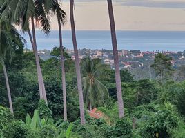  Grundstück zu verkaufen in Koh Samui, Surat Thani, Bo Phut