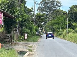  Land for sale in Pa Kha, Ban Na, Pa Kha