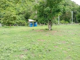  Land for sale in Prachuap Khiri Khan, Sam Roi Yot, Sam Roi Yot, Prachuap Khiri Khan