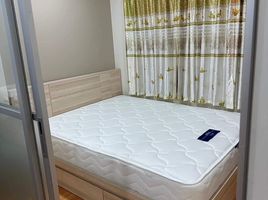 1 Schlafzimmer Appartement zu verkaufen im Lumpini Ville Sukhumvit 76 - Bearing Station, Samrong, Phra Pradaeng, Samut Prakan