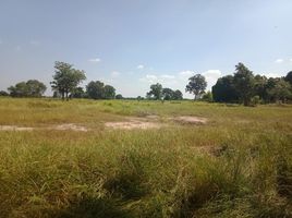  Land for sale in Pho Chai, Khok Pho Chai, Pho Chai