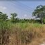  Land for sale in Thailand, Ta Khan, Ban Khai, Rayong, Thailand