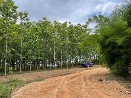  Land for sale in Phayao, Ngim, Pong, Phayao