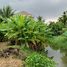  Land for sale in Sam Phran Nakhon Pathom, Rai Khing, Sam Phran