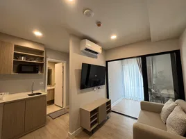 1 Bedroom Condo for rent at The Cube Amaze, Si Sunthon, Thalang