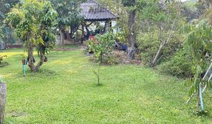 N/A Land for sale in Chomphu, Chiang Mai 