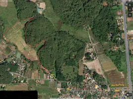  Land for sale in Mueang Chiang Rai, Chiang Rai, Tha Sut, Mueang Chiang Rai