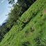  Land for sale in Colombia, Nilo, Cundinamarca, Colombia