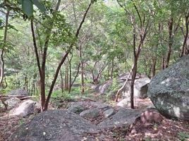  Grundstück zu verkaufen im Santikhiri Estate, Na Mueang, Koh Samui, Surat Thani