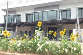 Boonyapa Modern Townhome 2 Real Estate Project in Nong Phai, 四色菊