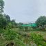  Land for sale in Khlong Ha, Khlong Luang, Khlong Ha