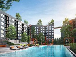 1 Bedroom Condo for sale at Origin Play Sri Udom Station, Bang Chak, Phra Khanong