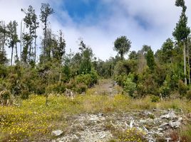  Grundstück zu verkaufen in Chiloe, Los Lagos, Ancud