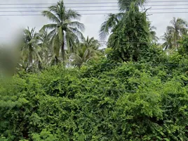  Grundstück zu verkaufen in Thap Sakae, Prachuap Khiri Khan, Na Hu Kwang