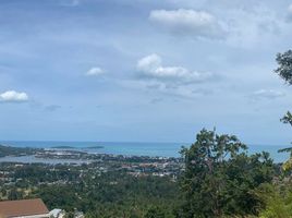  Grundstück zu verkaufen in Koh Samui, Surat Thani, Bo Phut