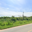  Land for sale in Rayong, Makham Khu, Nikhom Phatthana, Rayong