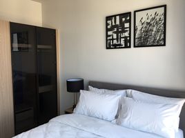 2 Schlafzimmer Appartement zu vermieten im XT Ekkamai, Khlong Tan Nuea