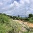  Land for sale in Nong Bon, Bo Rai, Nong Bon