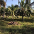  Land for sale in Thap Sakae, Prachuap Khiri Khan, Huai Yang, Thap Sakae