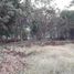  Land for sale in Wang Krachae, Mueang Trat, Wang Krachae