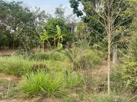  Land for sale in Hua Hin, Hua Hin