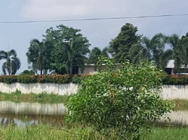  Land for sale in Pak Kran, Phra Nakhon Si Ayutthaya, Pak Kran