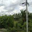  Land for sale in Suphan Buri, Ton Tan, Song Phi Nong, Suphan Buri