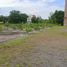  Land for sale in Mueang Nakhon Ratchasima Nakhon Ratchasima, Muen Wai, Mueang Nakhon Ratchasima, Nakhon Ratchasima