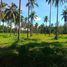  Land for sale in Phuket, Pa Khlok, Thalang, Phuket