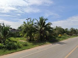 2 Bedroom Villa for sale in Nakhon Ratchasima, Non Yo, Chum Phuang, Nakhon Ratchasima
