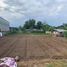  Land for sale in Chiang Mai International Airport, Suthep, Pa Daet