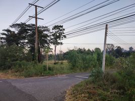  Grundstück zu verkaufen in Pa Tio, Yasothon, Krachai