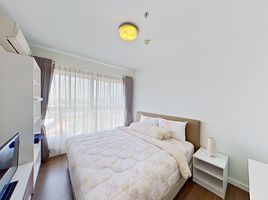 2 Schlafzimmer Appartement zu verkaufen im Baan Kiang Fah, Nong Kae