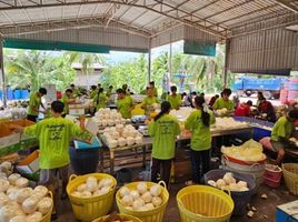  Warenhaus zu verkaufen in Damnoen Saduak, Ratchaburi, Bua Ngam, Damnoen Saduak, Ratchaburi