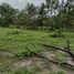  Land for sale in Amazonas, Silves, Amazonas