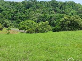  Land for sale in Orotina, Alajuela, Orotina