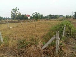  Land for sale in Roi Et, Yang Yai, Changhan, Roi Et