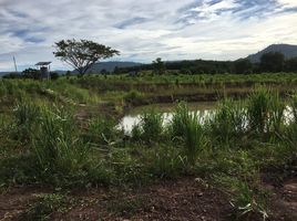  Grundstück zu verkaufen in Wang Nam Khiao, Nakhon Ratchasima, Wang Nam Khiao, Wang Nam Khiao