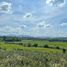  Land for sale in Pa Sang, Chiang Rai, Pa Sang, Mae Chan