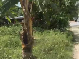  Grundstück zu verkaufen in Koh Samui, Surat Thani, Bo Phut