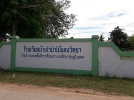  Land for sale in Chaiyaphum, Lum Lam Chi, Ban Khwao, Chaiyaphum
