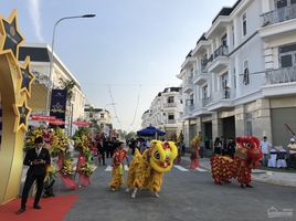 3 Schlafzimmer Villa zu verkaufen in Ben Luc, Long An, Phuoc Loi, Ben Luc